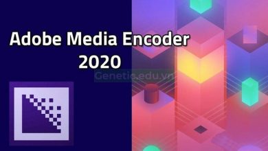 Phần mềm Adobe Media Encoder 2020