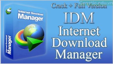 Phần mềm IDM
