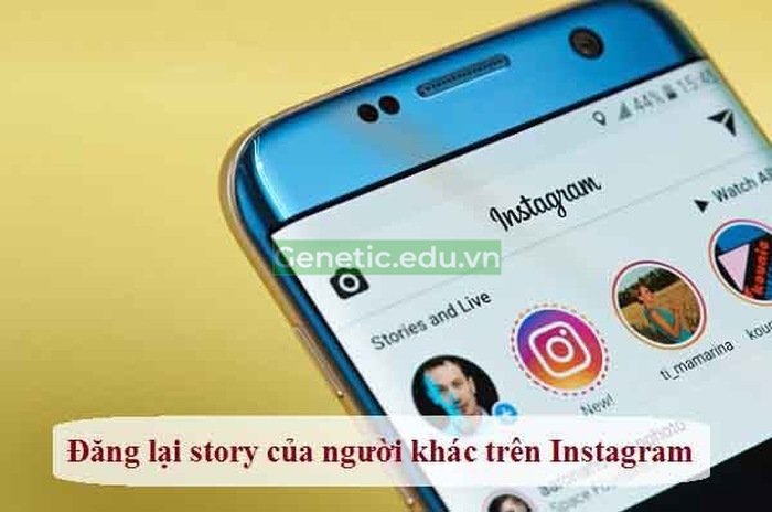 Cách chia sẻ lại story của người khác trên instagram