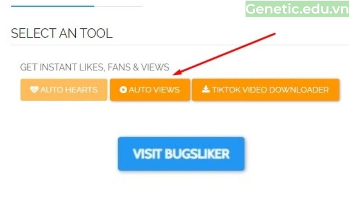 Nhấn "Auto views" -và chọn "Visit Bugsliker".