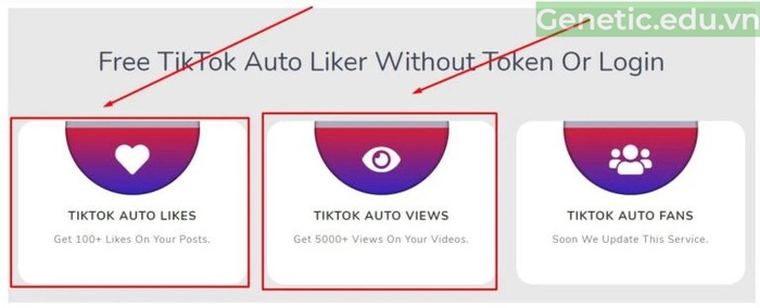 Chọn "TikTok Auto Views".