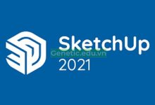Phần mềm Sketchup 2021