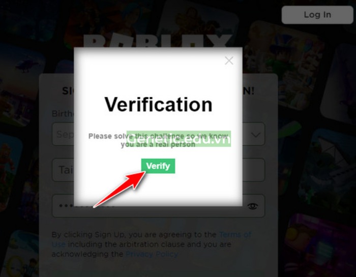 Click vào "Verify