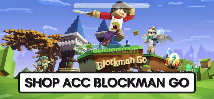 Shop acc Blockman Go