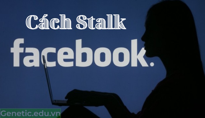 Cách Stalk Facebook