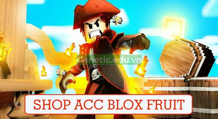 Shop acc Blox Fruit