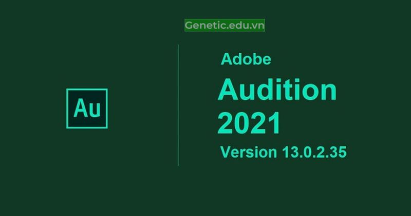 Phần mềm Adobe Audition 2021