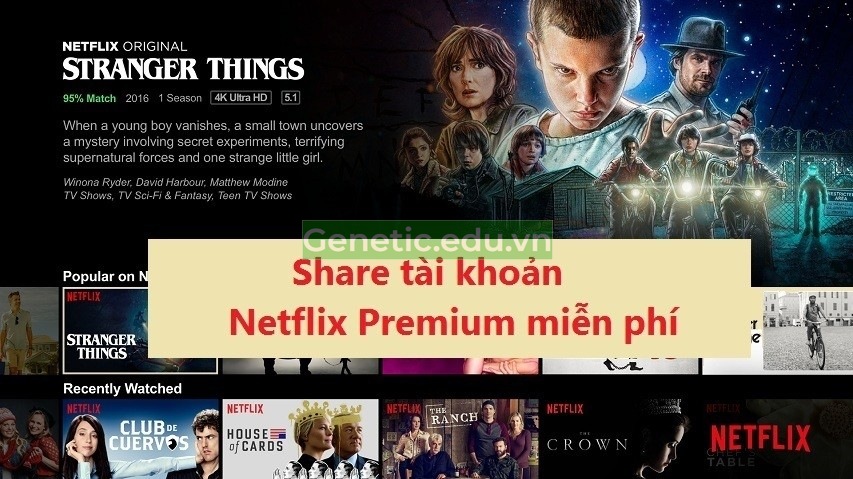 Share tài khoản Netflix premium miễn phí